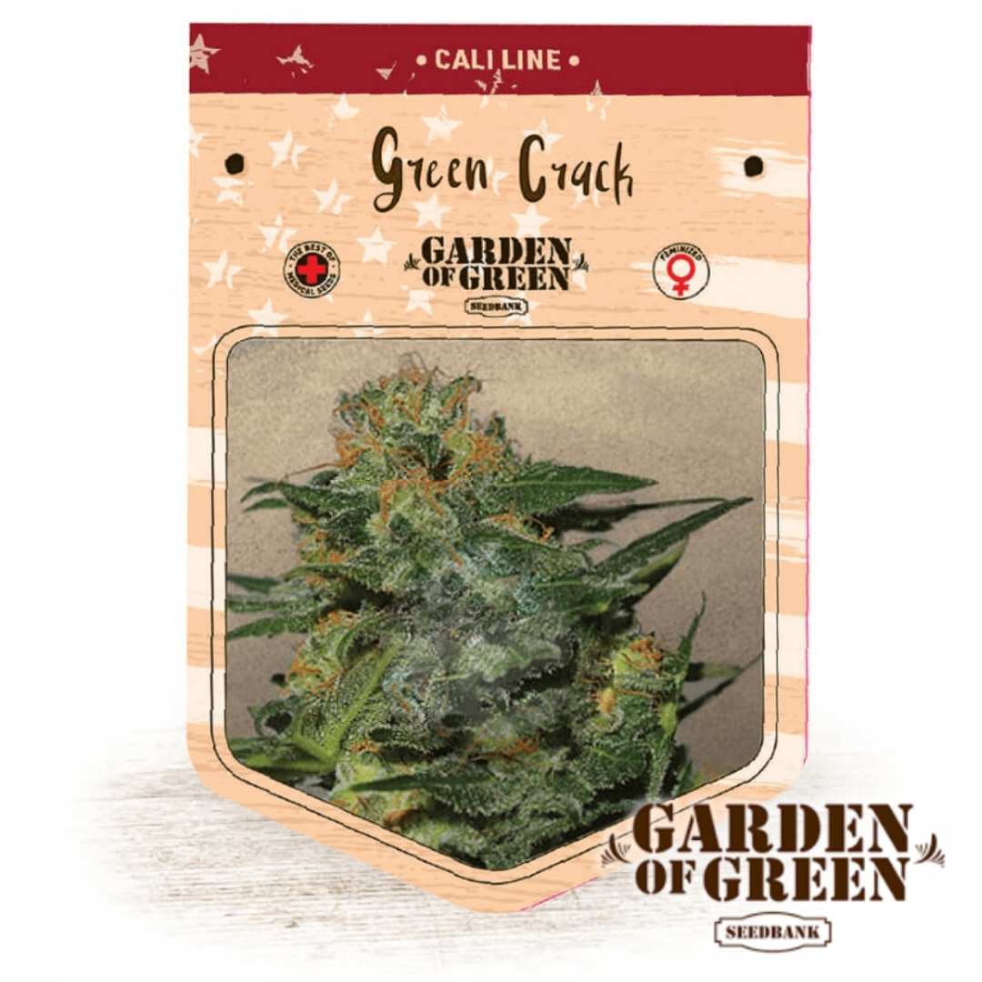 Green Crack Samenpaket mit detailreicher Knospe von Garden of Green
