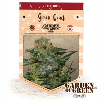 Green Crack Samenpaket mit detailreicher Knospe von Garden of Green