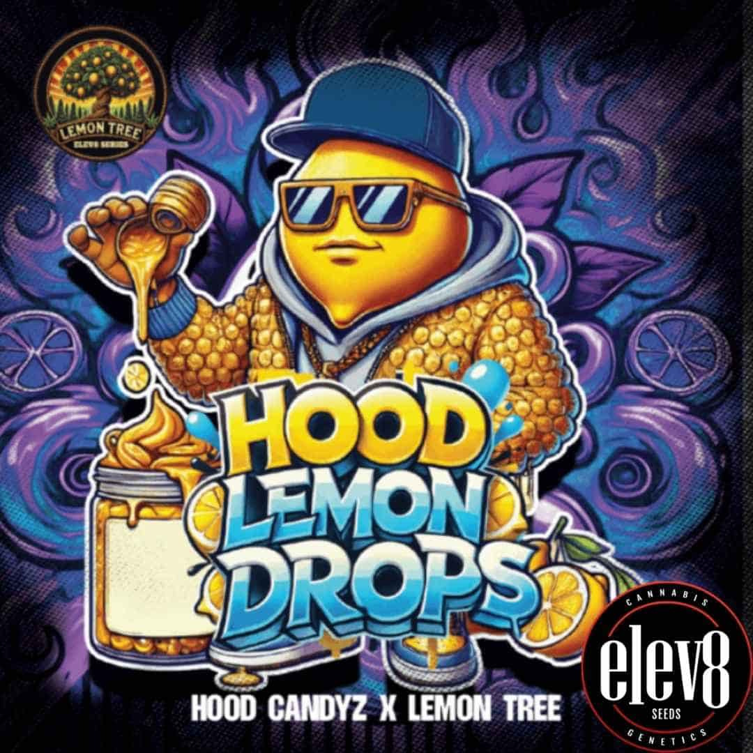 Hood Lemon Drops Cartoon-Zitrone mit Sonnenbrille, Honigmantel und Zitronenglas in Hip-Hop-Stil.