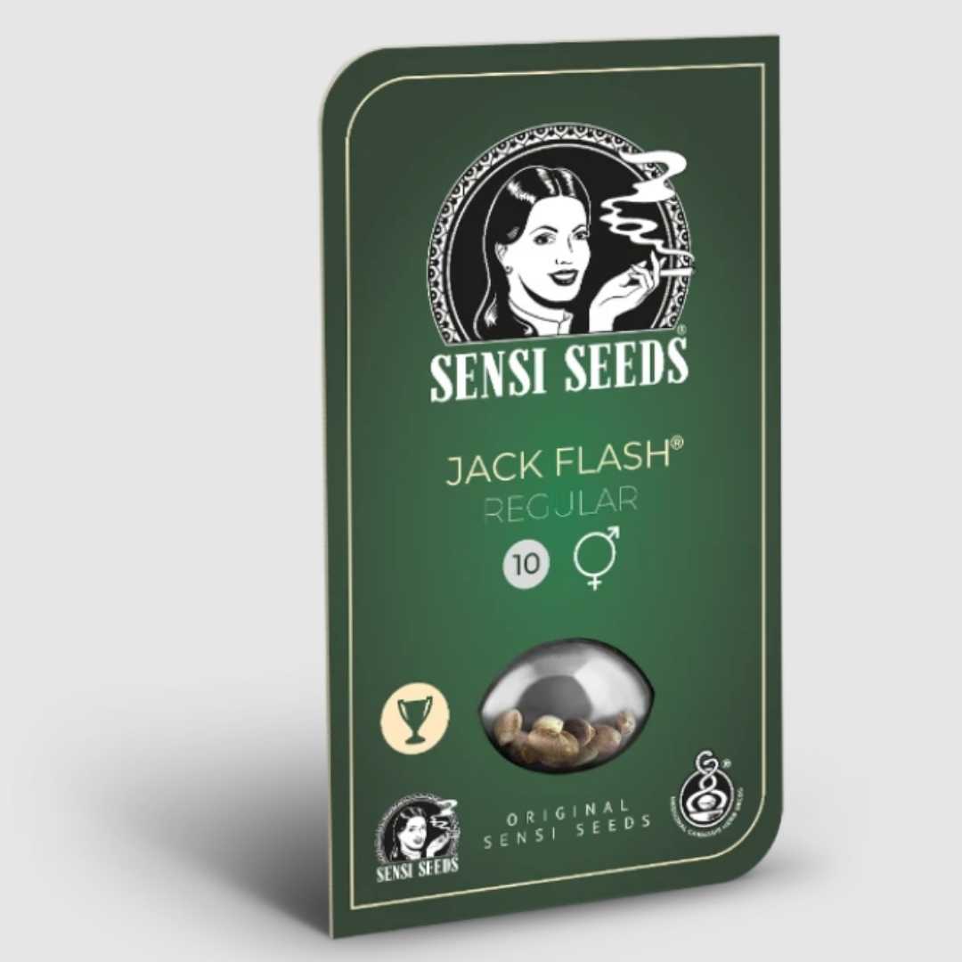 Jack Flash Regular Sensi Seeds Packung mit grünem Design und Sichtfenster für Cannabissamen