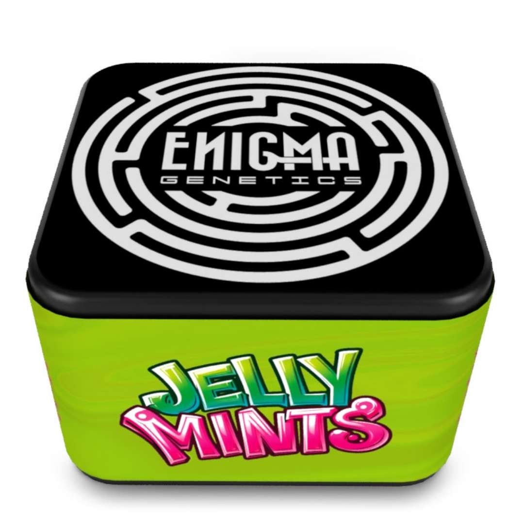 Jelly Mints Verpackung von Enigma Genetics in grüner Dose mit auffälligem Logo und Markenaufdruck