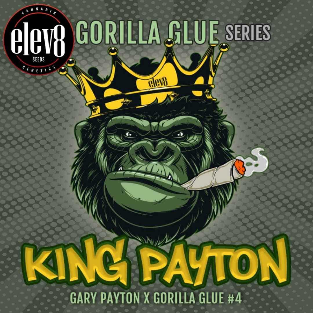 Kräftiger Gorilla mit Krone und Joint als King Payton Logo von Elev8 Seeds