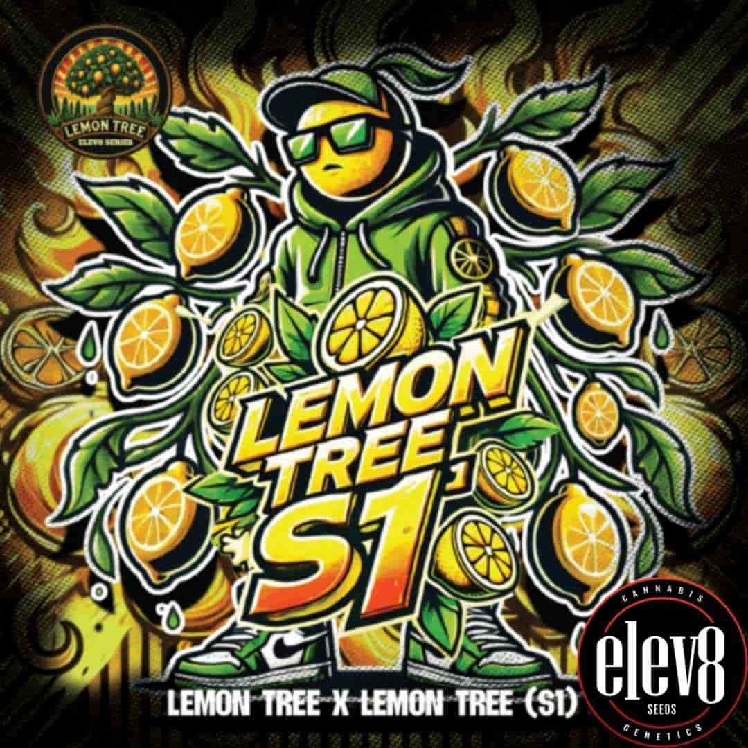 Lemon Tree S1 Comicfigur mit Zitronen, Blättern und kräftigem gelb-grünem Sortenlogo im Streetwear-Stil