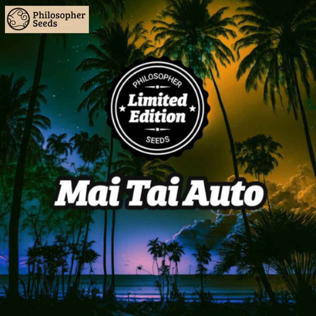 Mai Tai Auto Logo von Philosopher Seeds Limited Edition mit Palmenmotiv und klarer Sortenbezeichnung