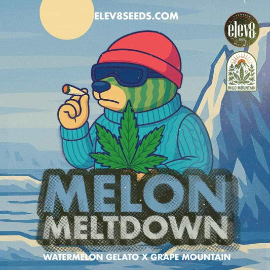 Melon Meltdown Artwork mit Cartoon-Bär, der einen Joint hält und das Strain-Logo präsentiert