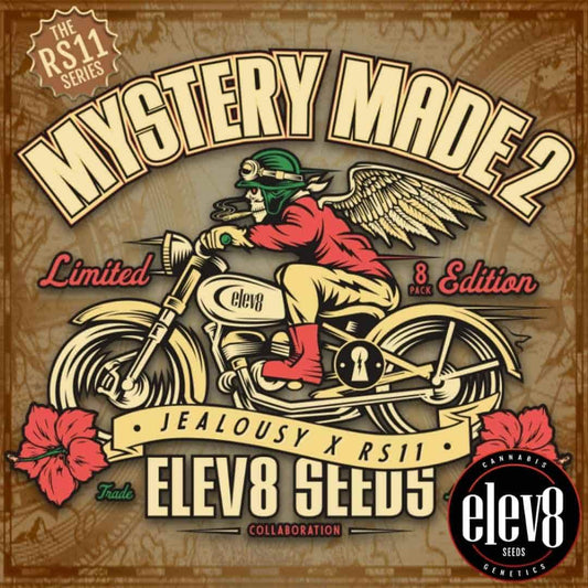 Mystery Made 2 Artwork mit geflügeltem Biker auf Motorrad und Elev8 Seeds Branding