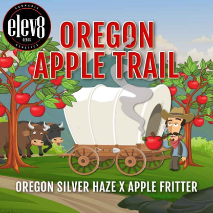 Oregon Apple Trail (Elev8 Seeds) Feminisiert