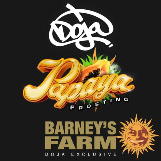 Papaya Frosting-Sorte von Barney's Farm x Doja