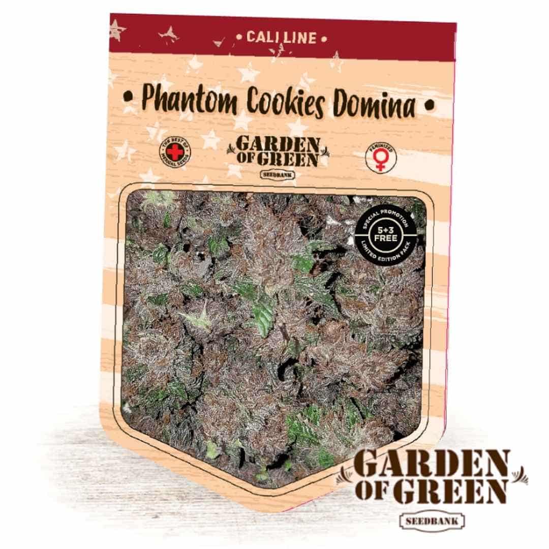Phantom Cookies Domina Beutel mit violett-grünen, harzigen Buds der Sorte von Garden of Green