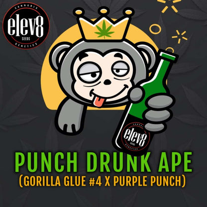 Betrunkener Affe mit Krone und Flasche als Punch Drunk Ape Artwork von Elev8 Seeds