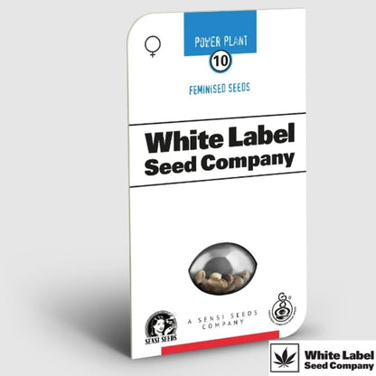 Pure Power Plant Samenpackung von White Label Seed Company in minimalistischem Design