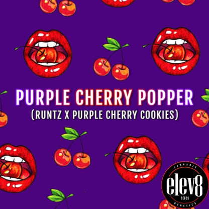 Purple Cherry Popper Grafik mit roten Lippen, Kirschen und Sortennamen Runtz x Purple Cherry Cookies