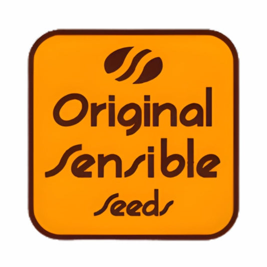 Auto Purple Lemon Tree XL (Original Sensible) Feminisiert