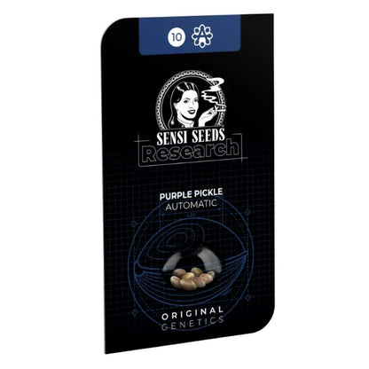 Sensi Seeds Research Purple Pickle Automatic Samenpackung mit Genetik-Info