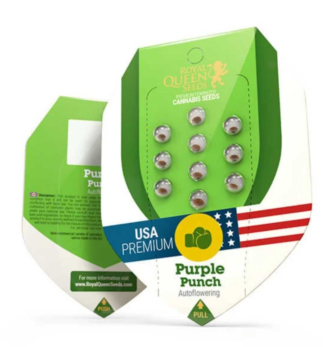Purple Punch Auto Samenpackung von Royal Queen Seeds mit USA-Premium-Label