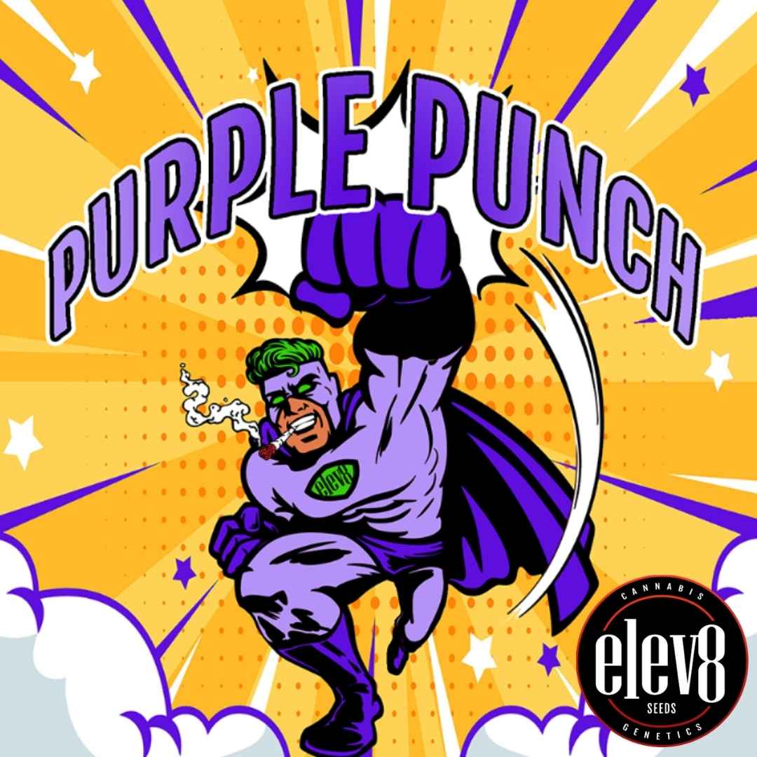 Stilisierter Superheld in Lila mit erhobener Faust und Purple Punch Schriftzug