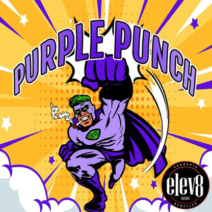 Stilisierter Superheld in Lila mit erhobener Faust und Purple Punch Schriftzug