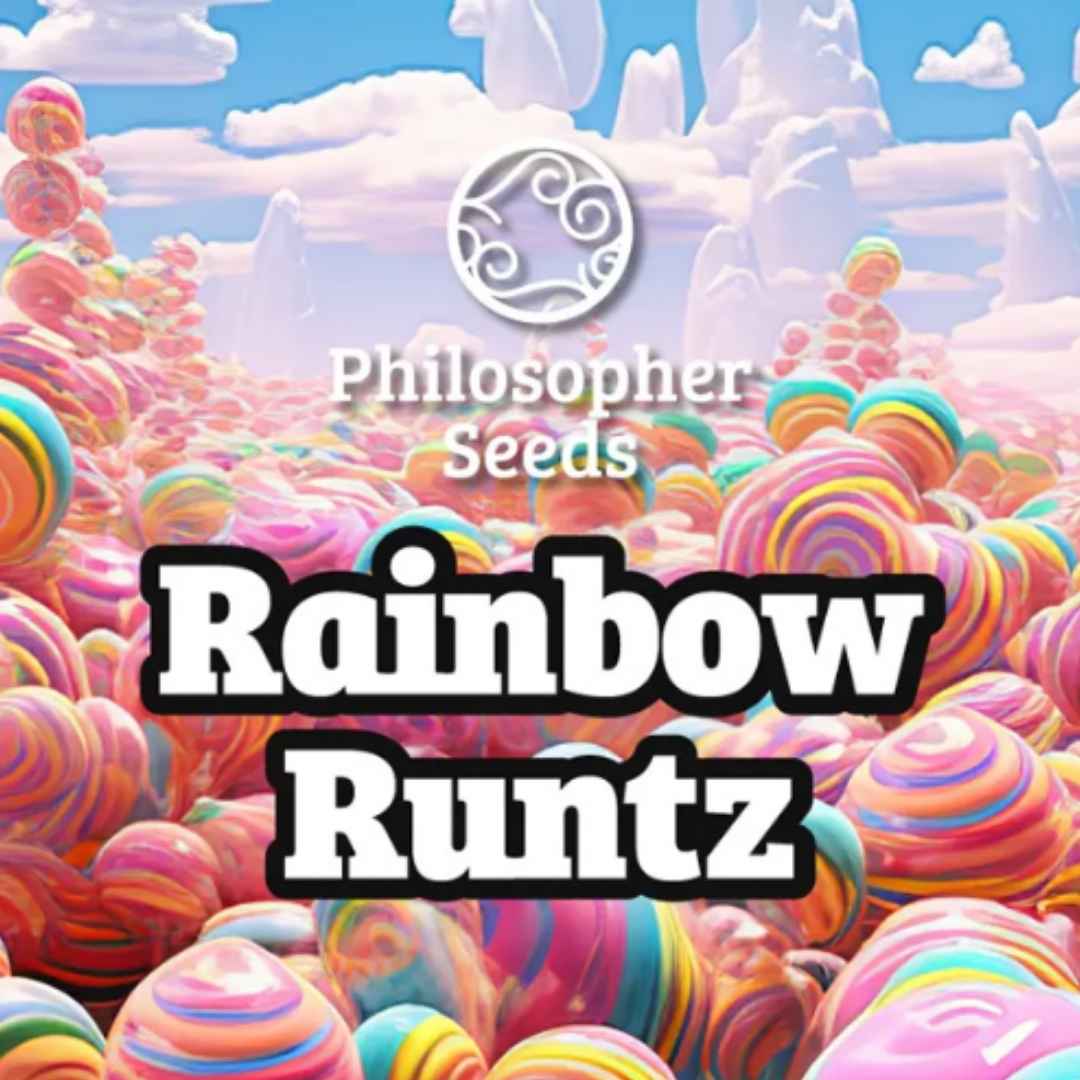 Rainbow Runtz Branding mit bunten, bonbonartigen Formen und Logo von Philosopher Seeds