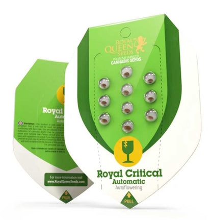 Samenpackung Royal Critical Auto von Royal Queen Seeds, grüne Blisterverpackung mit neun Samenkammern