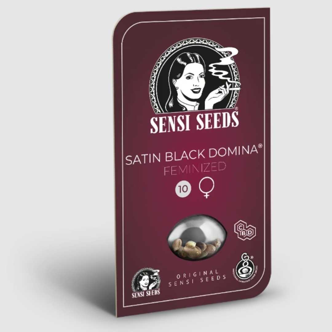 Verpackung mit 10 feminisierten Satin Black Domina CBD-Samen von Sensi Seeds