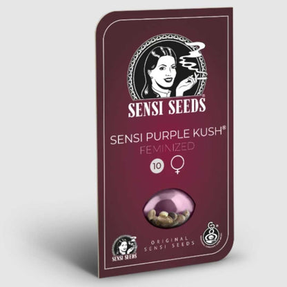 Sensi Purple Kush Samenpackung von Sensi Seeds in bordeauxroter Blisterbox