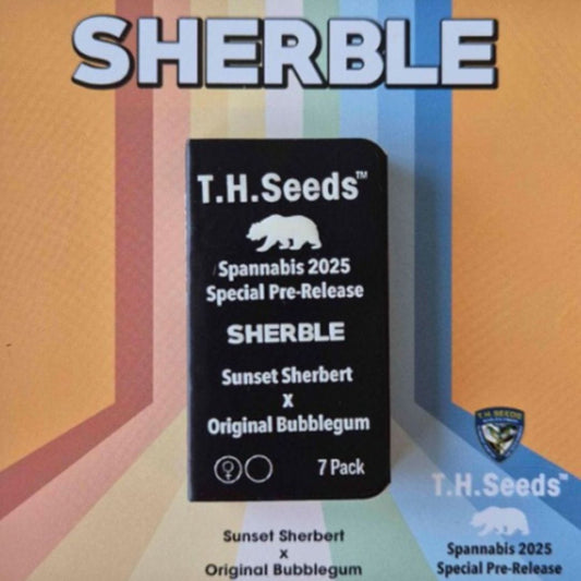 Sherble Samenpackung von T.H.Seeds mit der Genetik Sunset Sherbert x Original Bubblegum