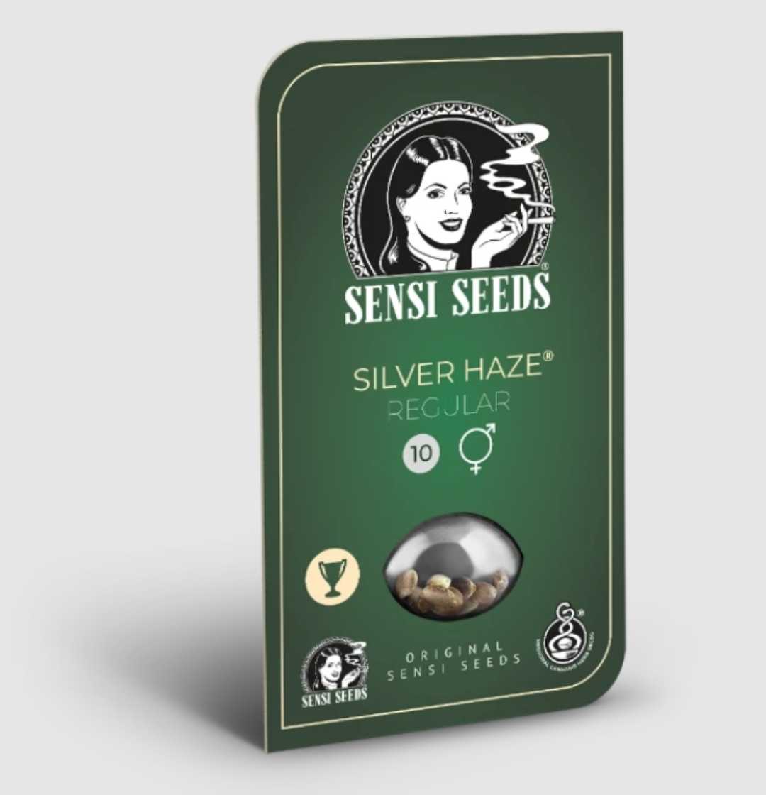 Silver Haze Regular Saatgutpackung von Sensi Seeds mit Sichtfenster für Hanfsamen