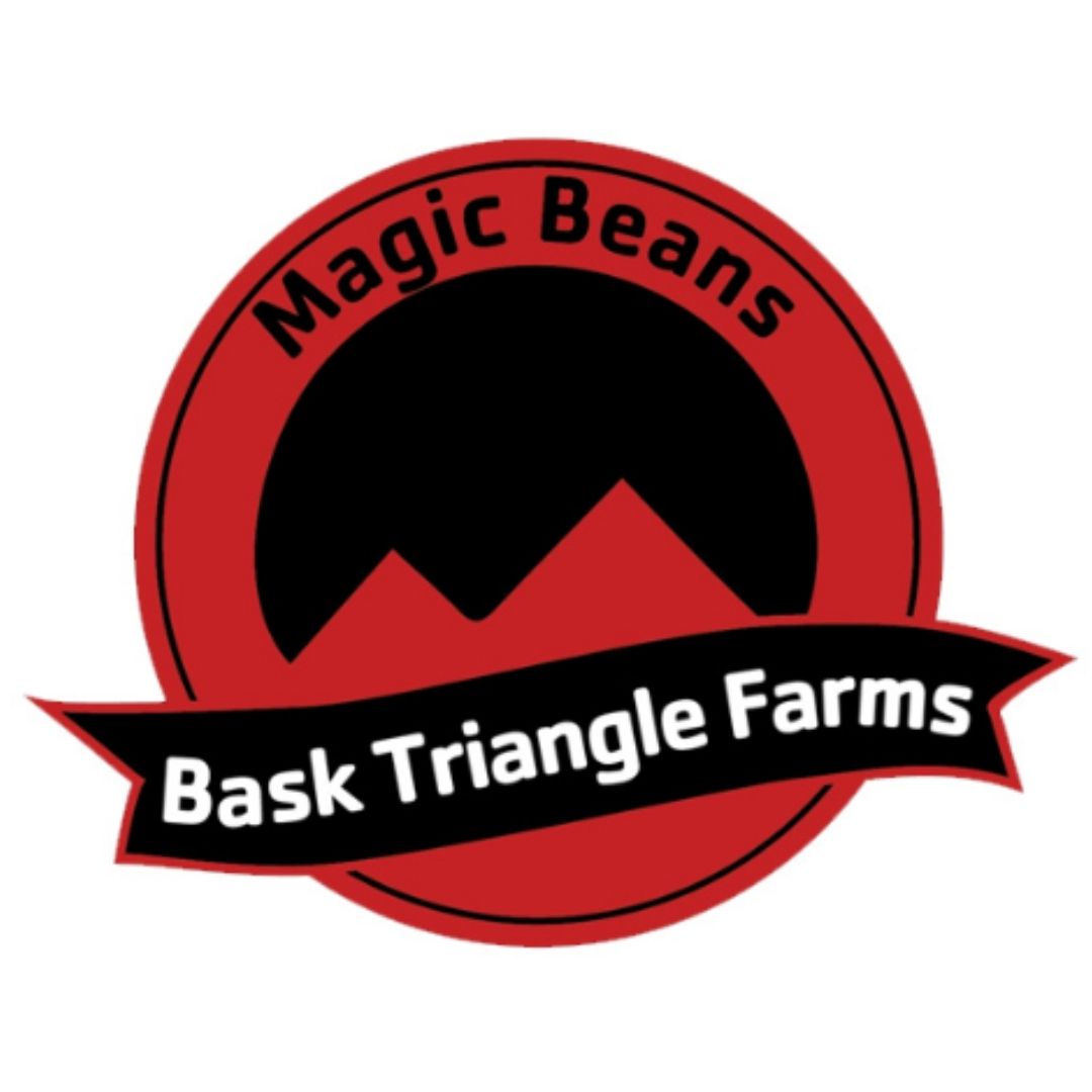 StrawberryBoof Logo mit minimalistischer runder Linie und zentralem Symbol