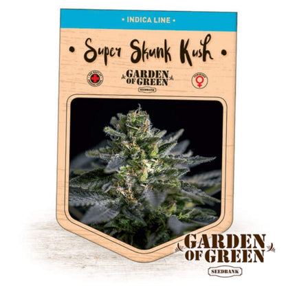 Super Skunk Kush Verpackung mit harziger, kompakten Blüte im Vordergrund