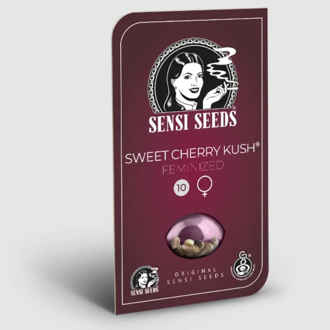 Sweet Cherry Kush feminisierte Samen in burgunderroter Sensi Seeds Verpackung