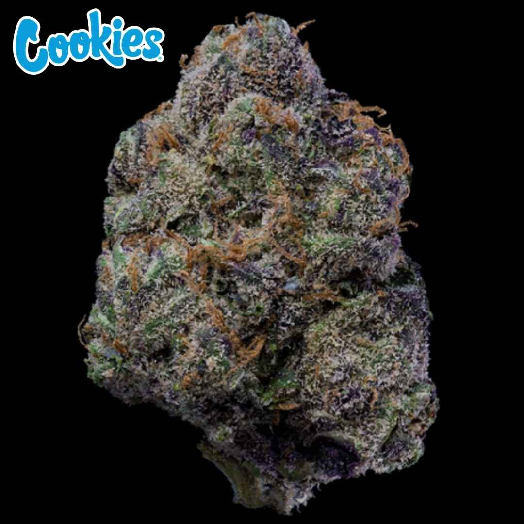 The Wolf Cannabisknospe dicht und harzig mit violetten Nuancen und orangefarbenen Härchen