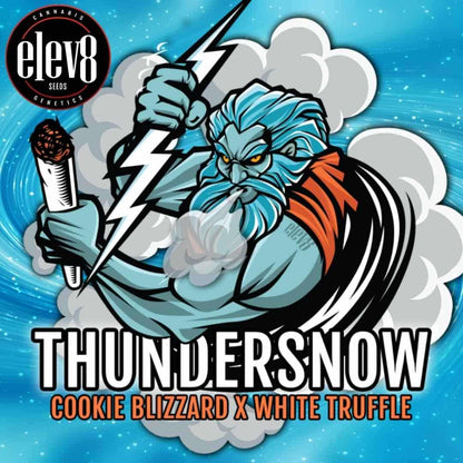 Thundersnow Artwork mit blauem Gott, Blitz und Sortenname Cookie Blizzard x White Truffle