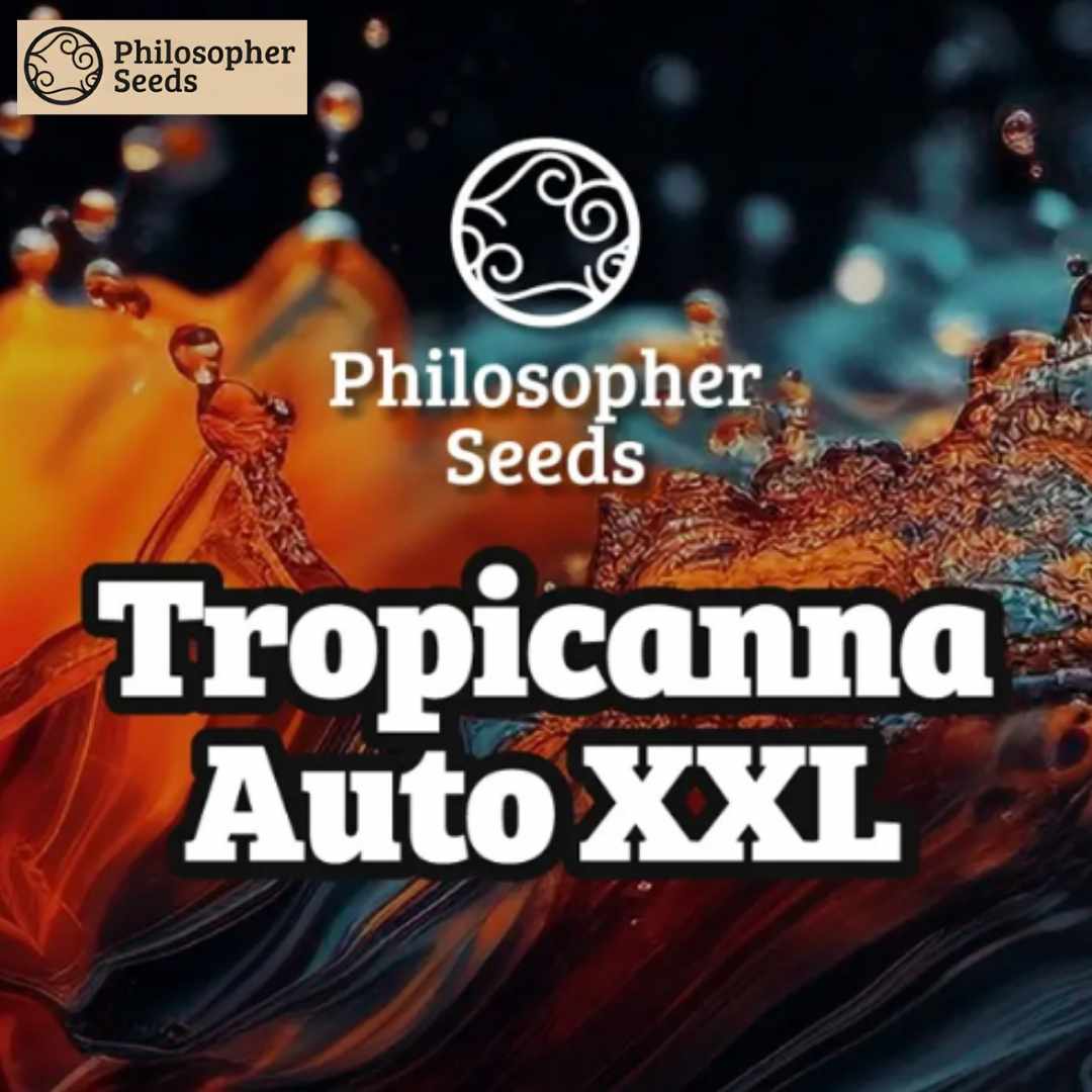 Tropicanna Auto XXL Logo von Philosopher Seeds mit farbiger Flüssigkeit und dynamischem Splash-Effekt