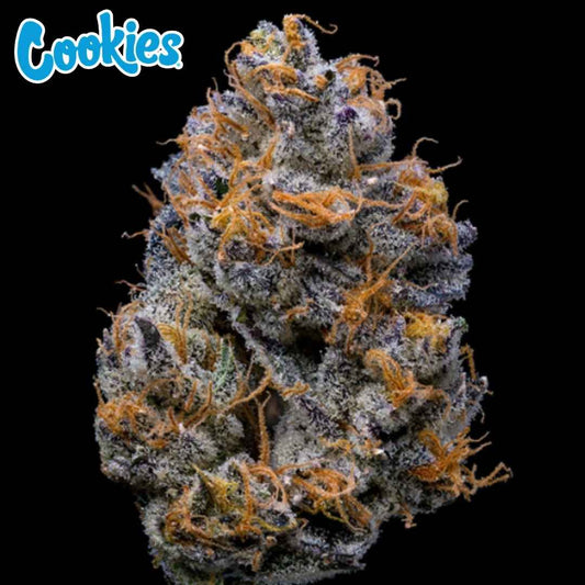 Velvet Cream Cannabis Blüte mit dichten, harzigen Buds und orangefarbenen Härchen, stark mit Trichomen bedeckt