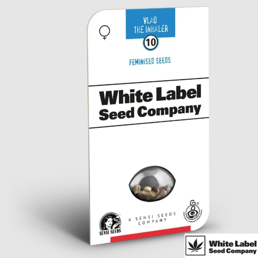 Vlad the Inhaler Samenpackung von White Label Seed Company