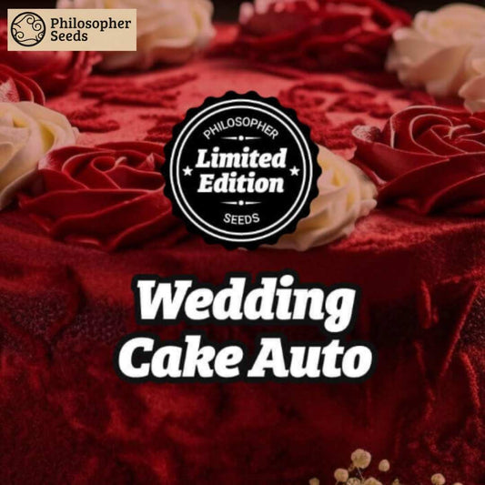 Wedding Cake Auto Logo auf dekoriertem Kuchen mit roten und weißen Rosen als Limited Edition Seeds Motiv