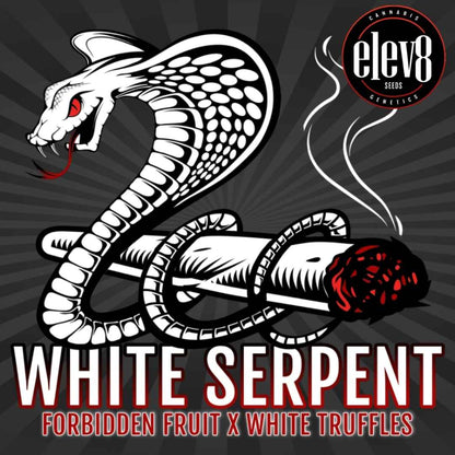 Weißer Serpent zeigt stilisierte Schlange um Joint als Branding für White Serpent Genetik