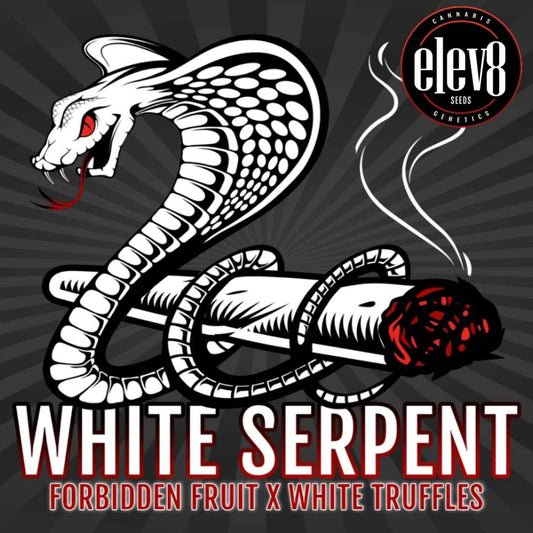 Weißer Serpent zeigt stilisierte Schlange um Joint als Branding für White Serpent Genetik