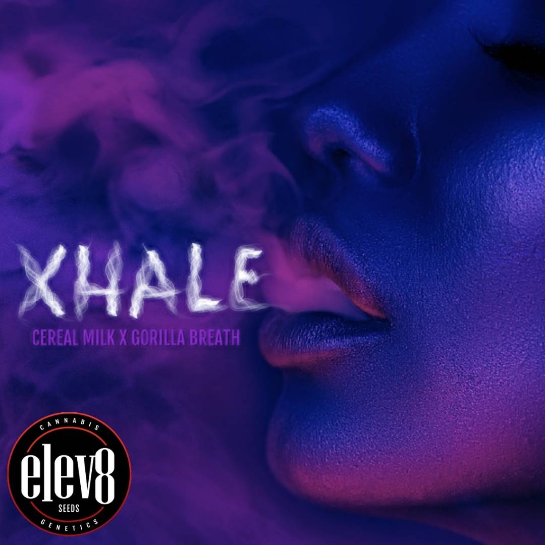 Frau mit violettem Licht, die Rauch ausatmet und das Xhale Branding zeigt