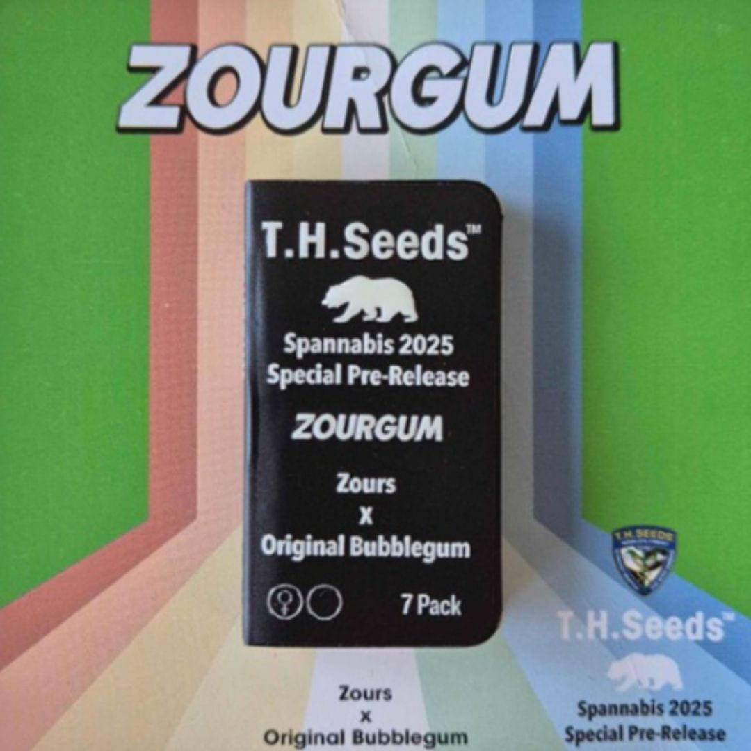 Zourgum Samenpackung von T.H.Seeds mit der Kreuzung Zours x Original Bubblegum und sieben Samen.
