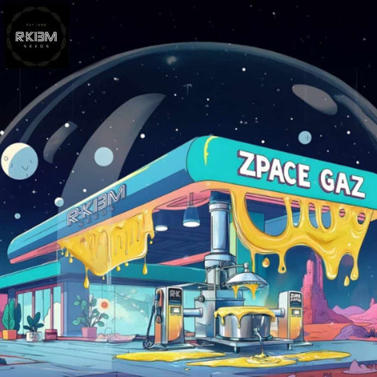 Zpaze Gaz Tankstelle mit schmelzendem Dach und Zapfsäulen im surrealen Stil