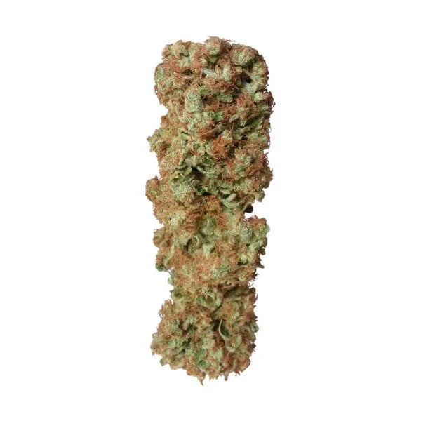 Getrocknete, kompakte Candy Kush Bud mit rot-grüner Farbstruktur und dichter Trichombeschichtung