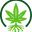 MySeeds logo