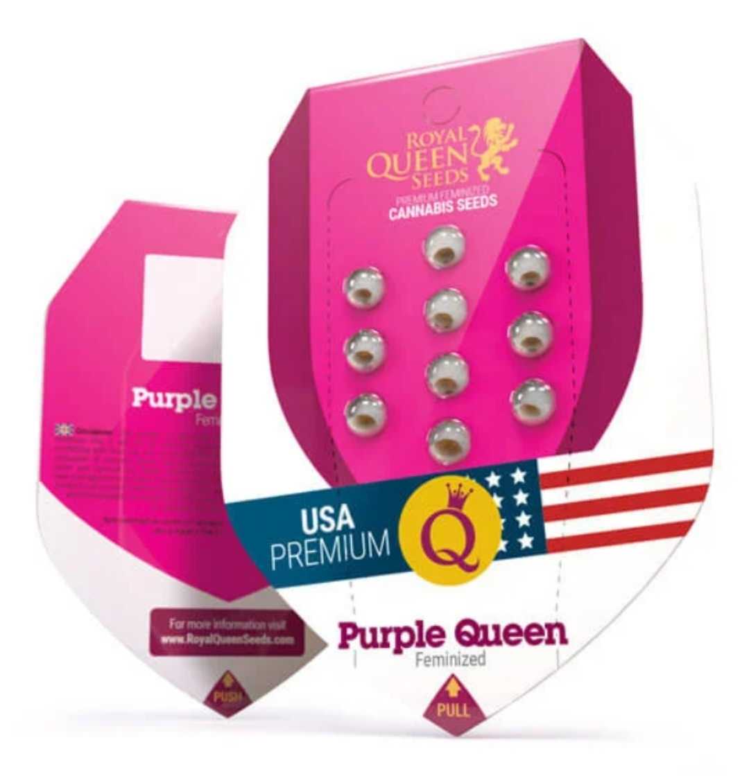 Verpackung der Purple Queen Samen von Royal Queen Seeds in Pink-Weiß mit USA-Premium-Label
